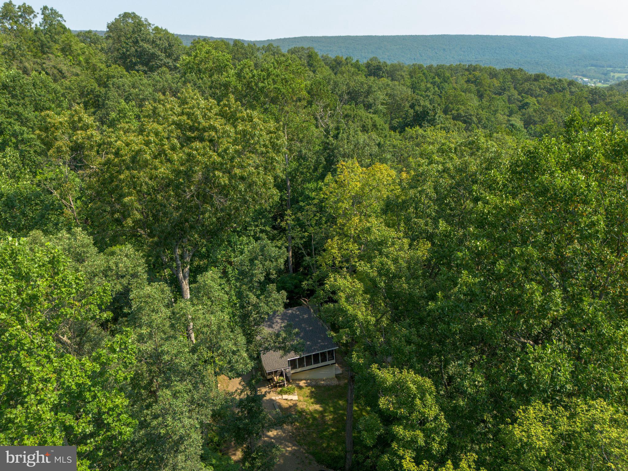 398 Acorn Road Millerstown, PA 17062 - Photo 42 of 42 Secluded retreat nestled in lush greenery.