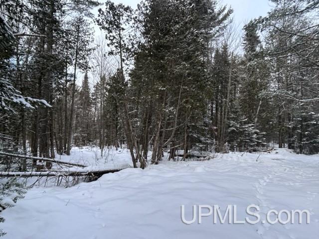 Parcel A Bootjack Road Lake Linden, MI 49945 - Photo 34 of 43 Gallery Image 34