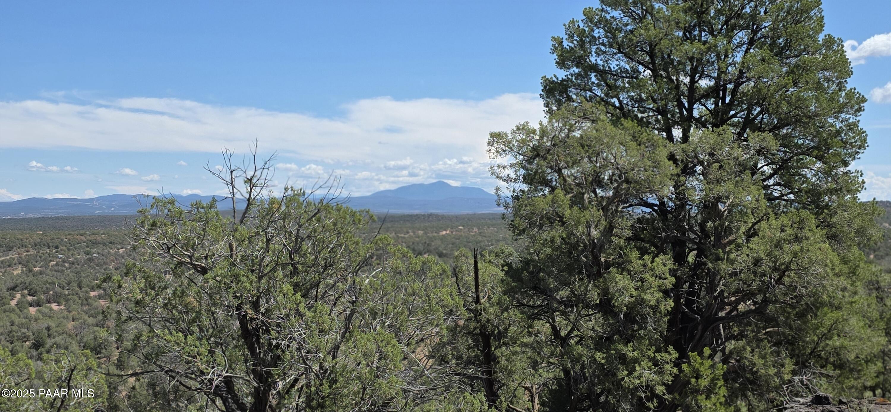 8200 West Rolling Ridge Road Ash Fork, AZ 86320 - Photo 14 of 38 a view of a city with lush green forest