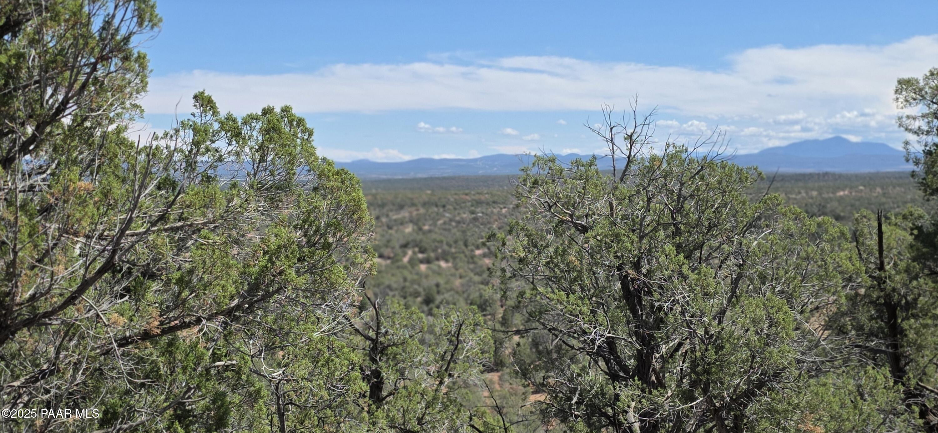 8200 West Rolling Ridge Road Ash Fork, AZ 86320 - Photo 15 of 38 20250906_114319