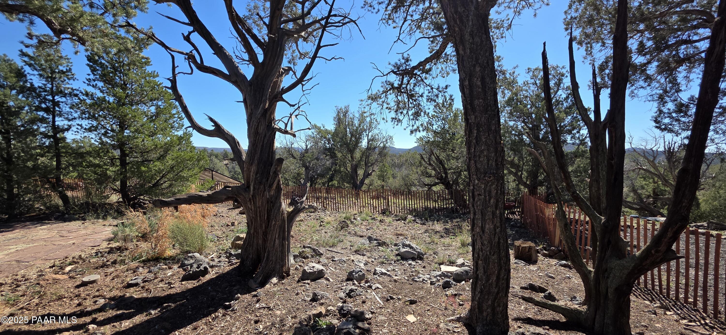 8200 West Rolling Ridge Road Ash Fork, AZ 86320 - Photo 24 of 38 a view of a forest covered with snow