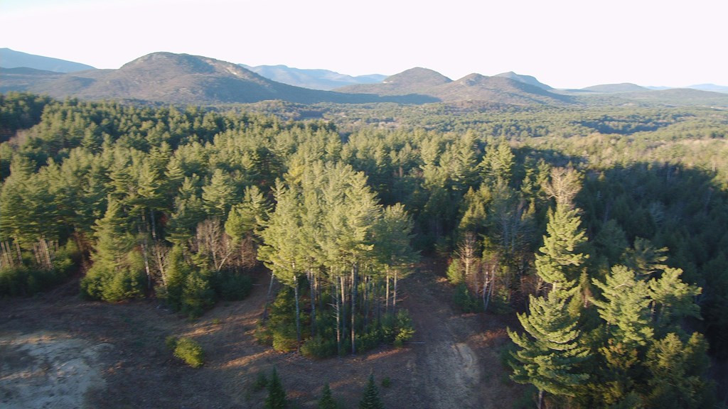 407 Upper Jay-Trumbulls Corners Road Jay, NY 12941 - Photo 3 of 25
