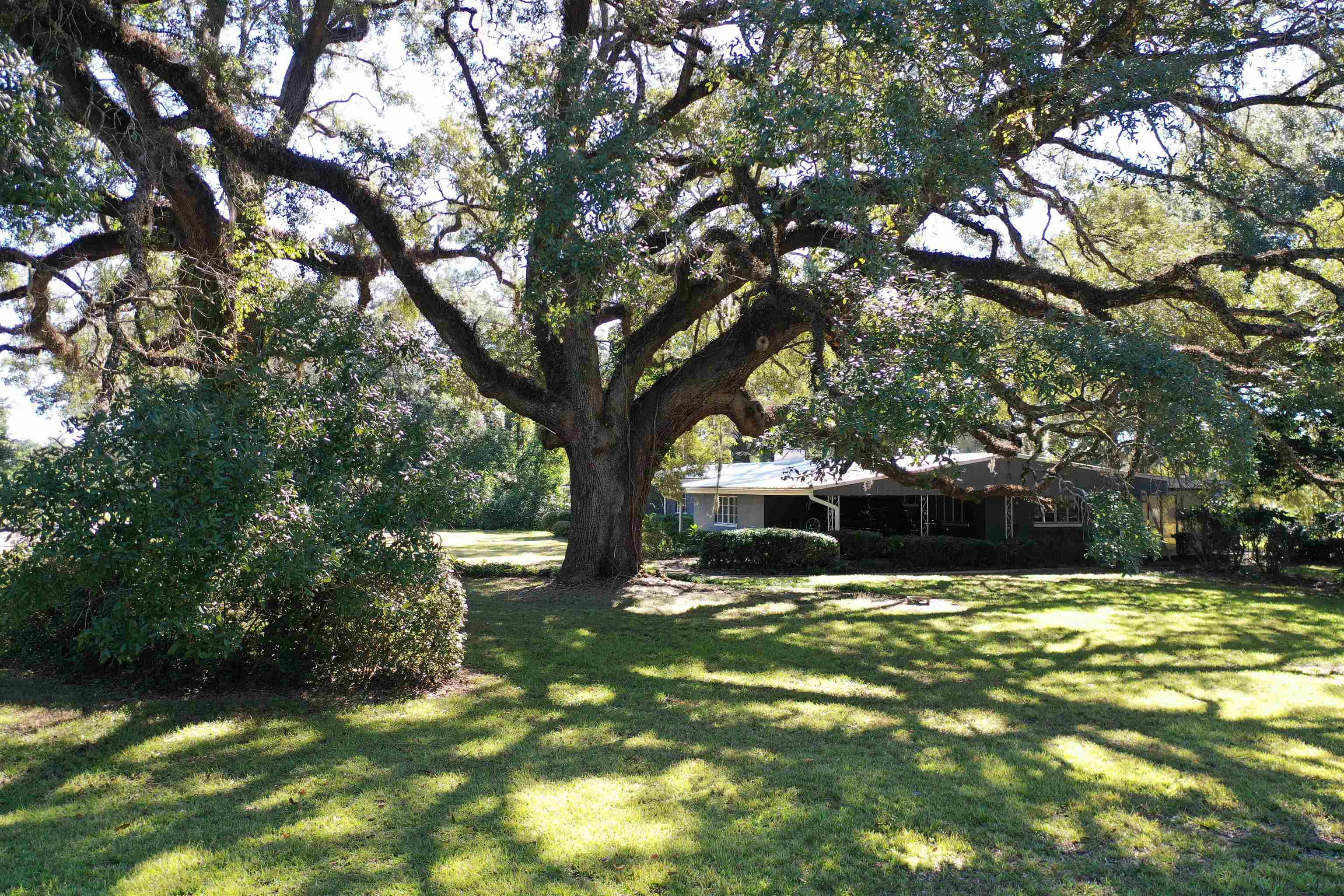 258 Harbin Road Quincy, FL 32351 - Photo 36 of 67 Gallery Image 36
