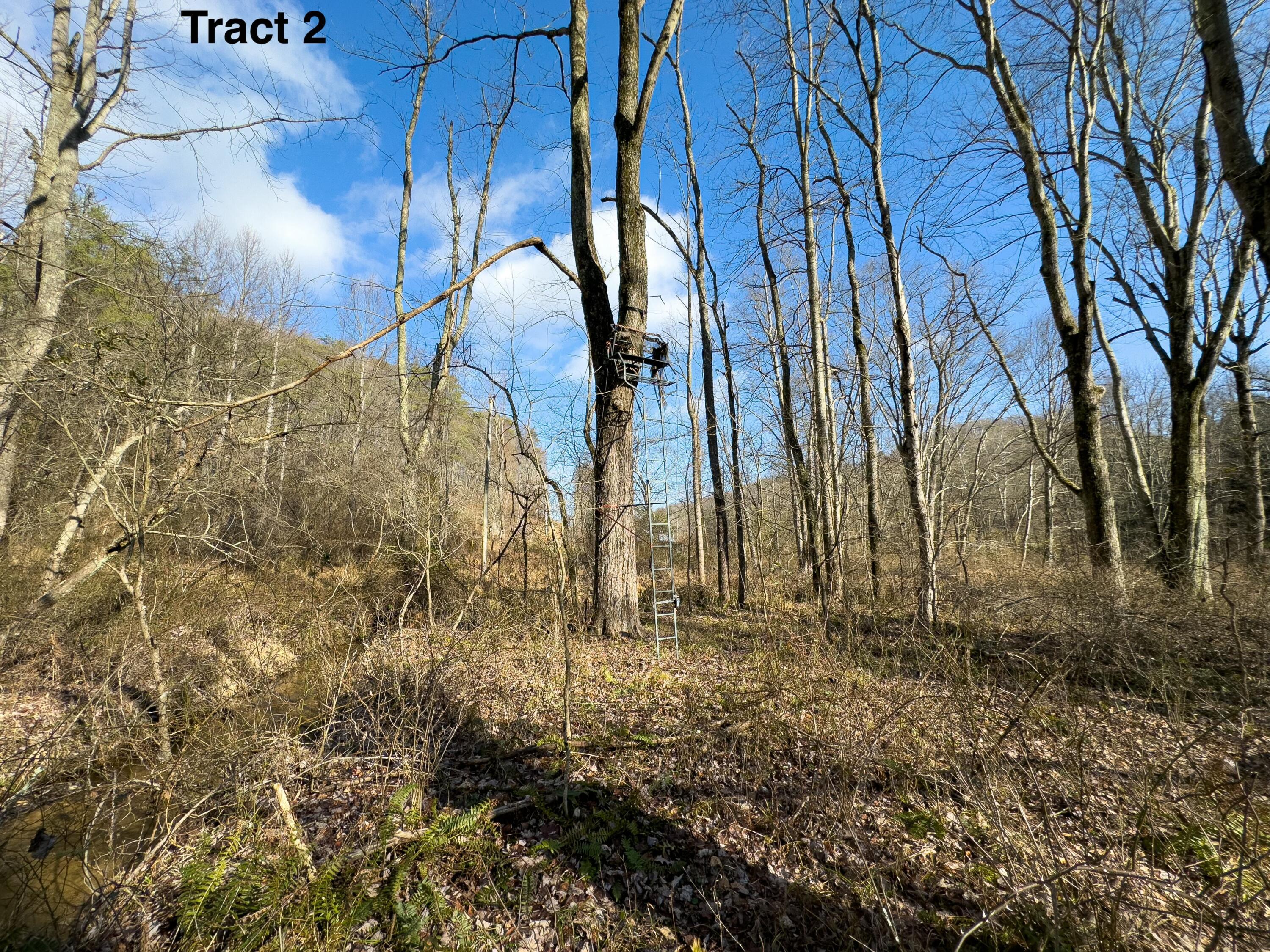 24453 Woltz Road Rockbridge, OH 43149 - Photo 27 of 28 tempImageWOduSU