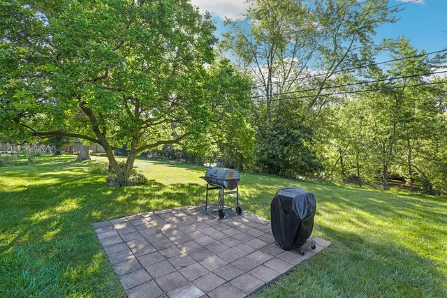 a view of a garden with plants and a bench