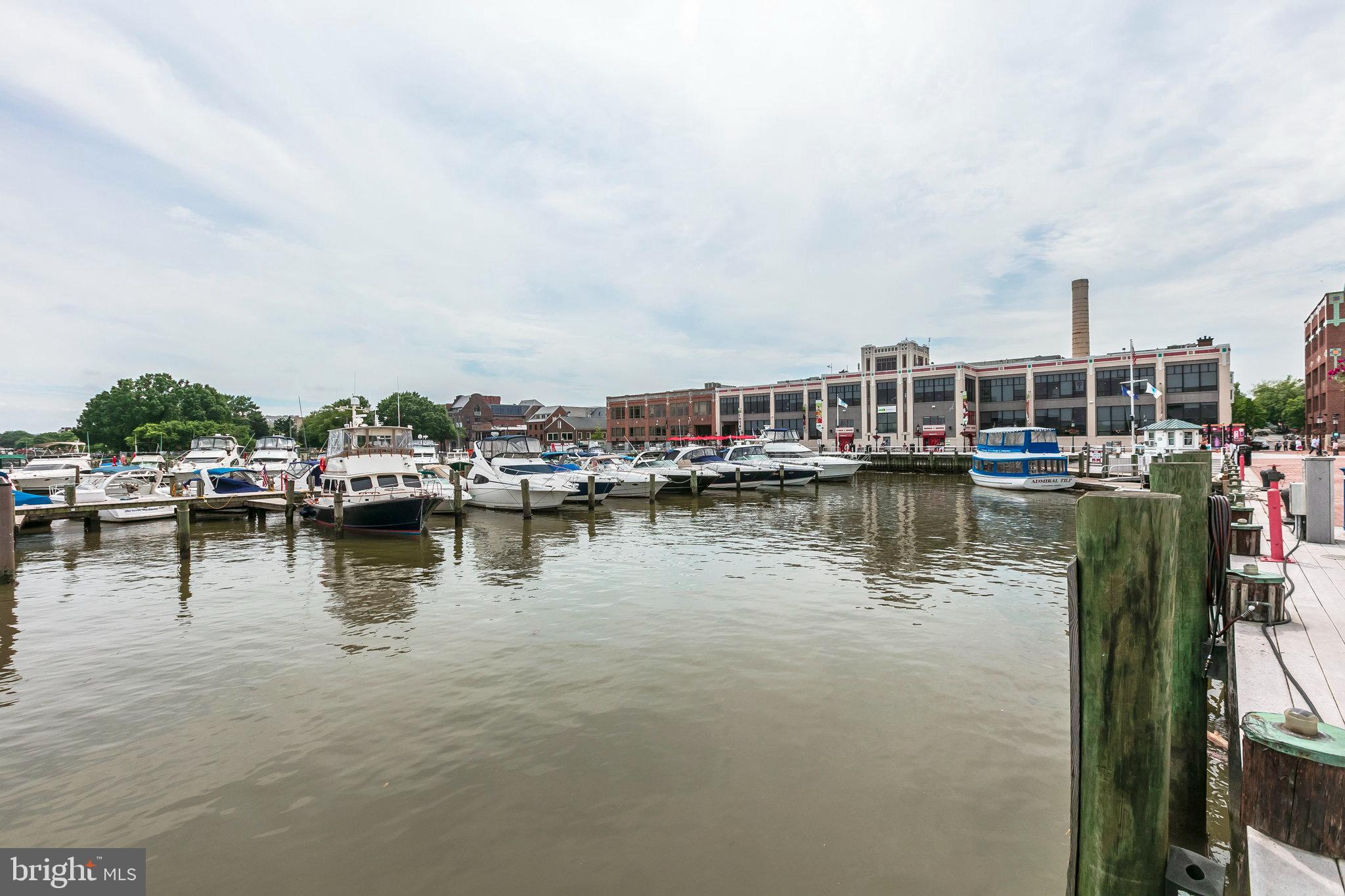 1106 Portner Road Alexandria, VA 22314 - Photo 43 of 44 Gallery Image 43