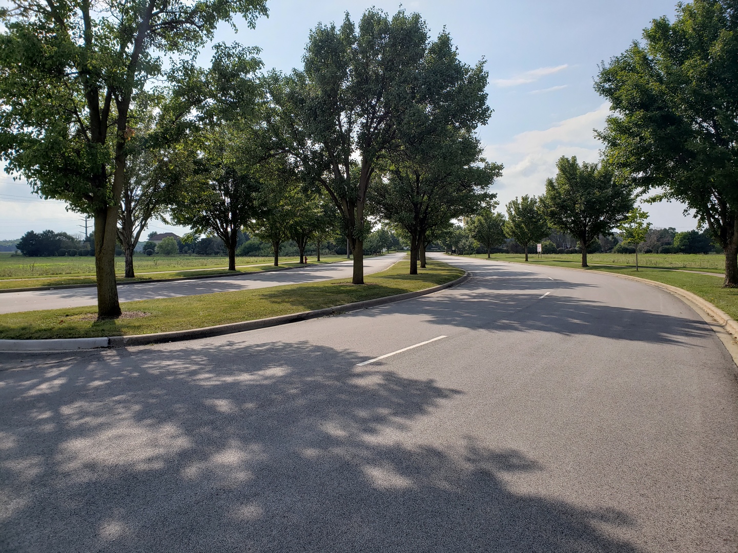 0 Dayfield Drive Plainfield, IL 60586 - Photo 2 of 7 a view of road with trees and a big yard