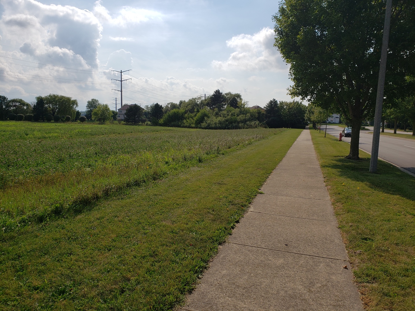 0 Dayfield Drive Plainfield, IL 60586 - Photo 4 of 7 a view of a garden