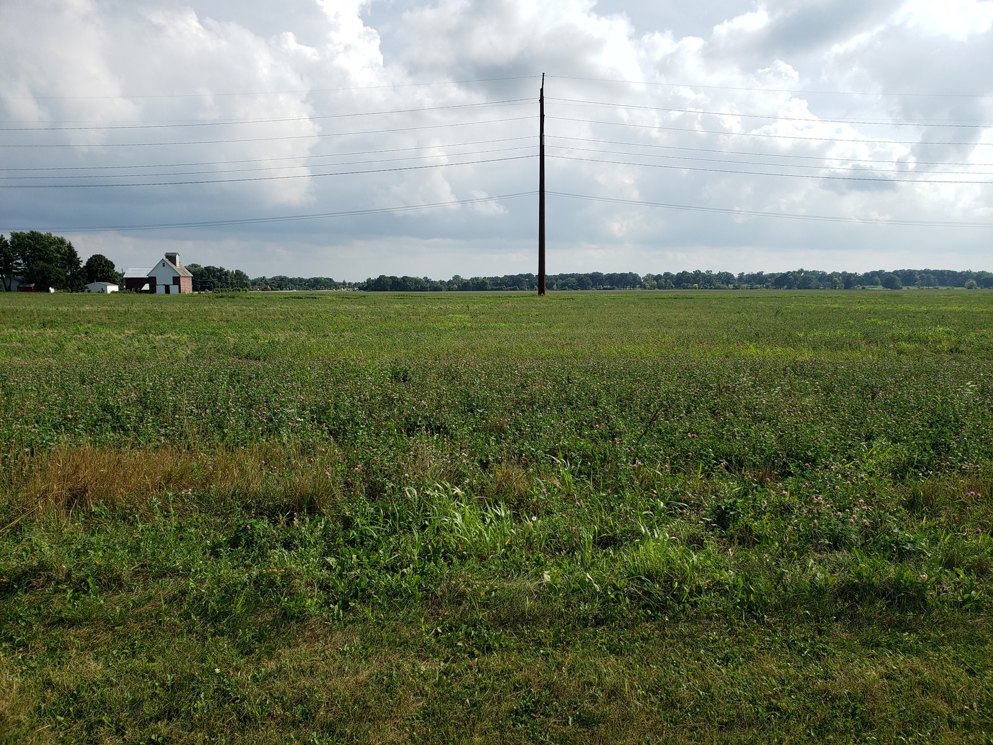 0 Dayfield Drive Plainfield, IL 60586 - Photo 6 of 7 a view of a space with a big yard and large trees