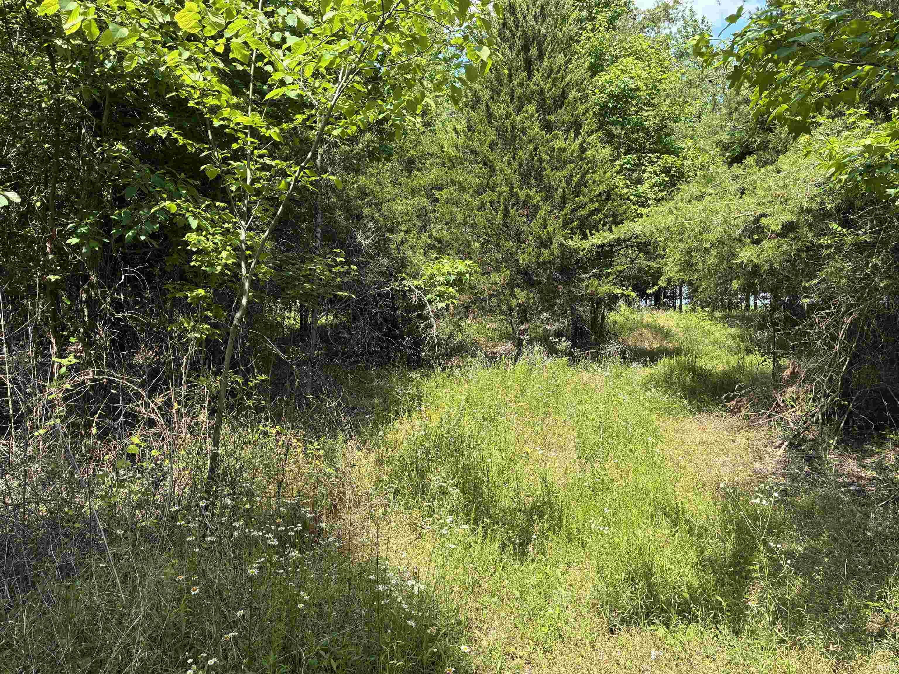 257 State Road Velpen, IN 47590 - Photo 13 of 29