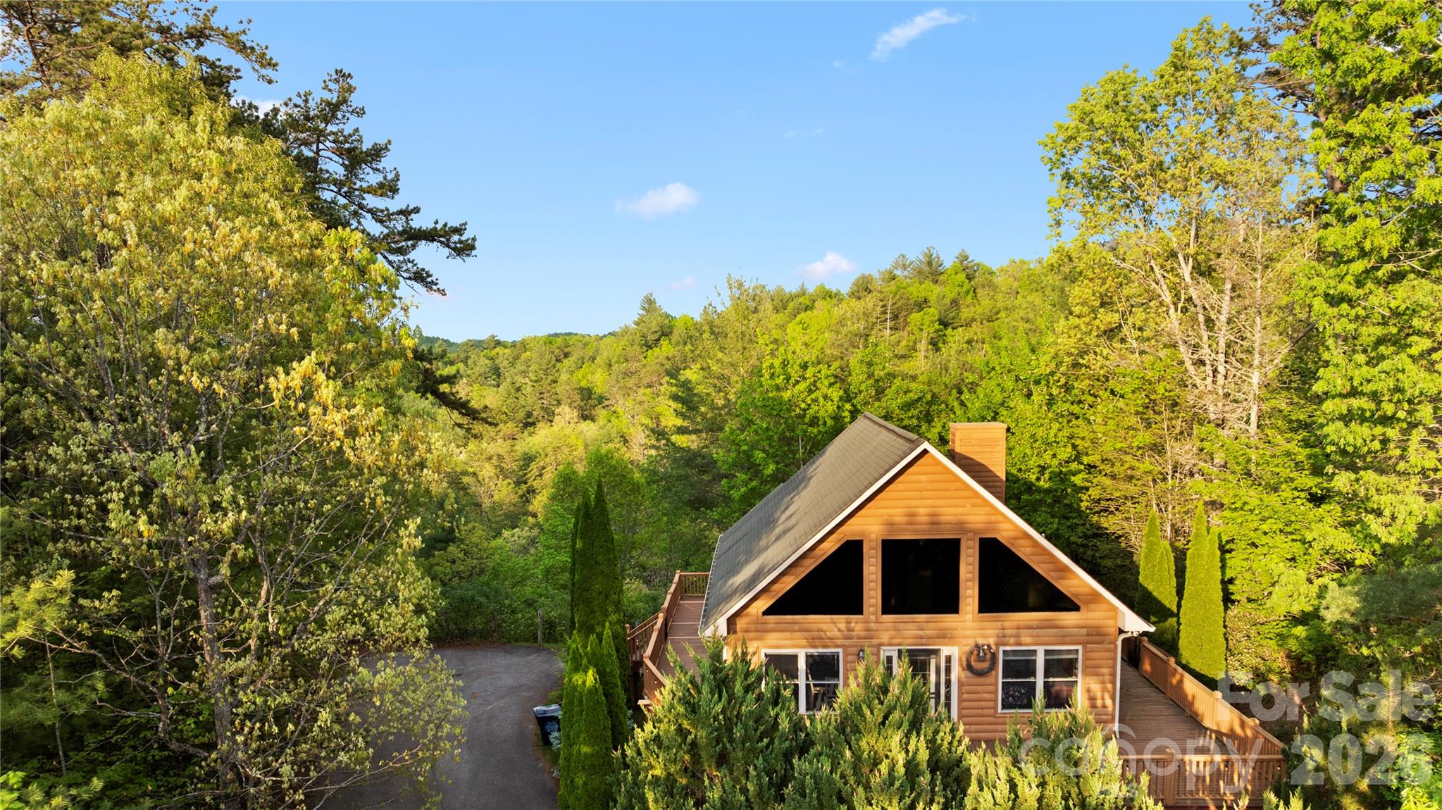 273 North Rhododendron Road Almond, NC 28702 - Photo 2 of 27 Gallery Image 2