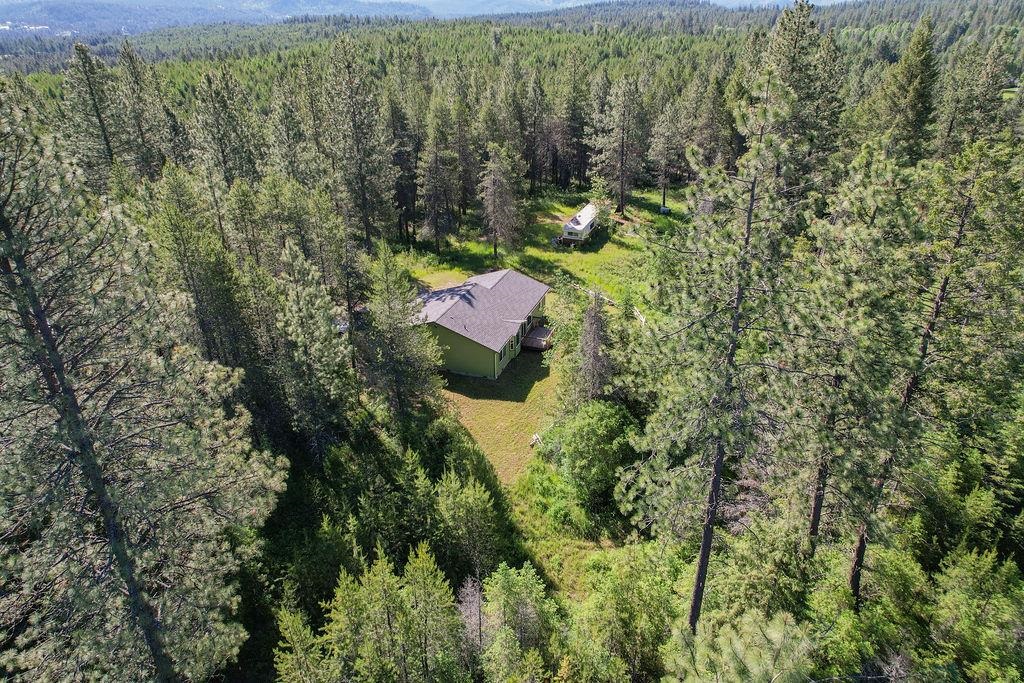 4205 Lumberg Road Springdale, WA 99173 - Photo 29 of 32