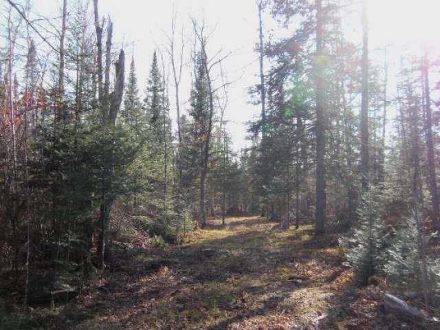 Lot 5 Lake Of The Falls Road Mercer, WI 54547 - Photo 18 of 20 Gallery Image 18