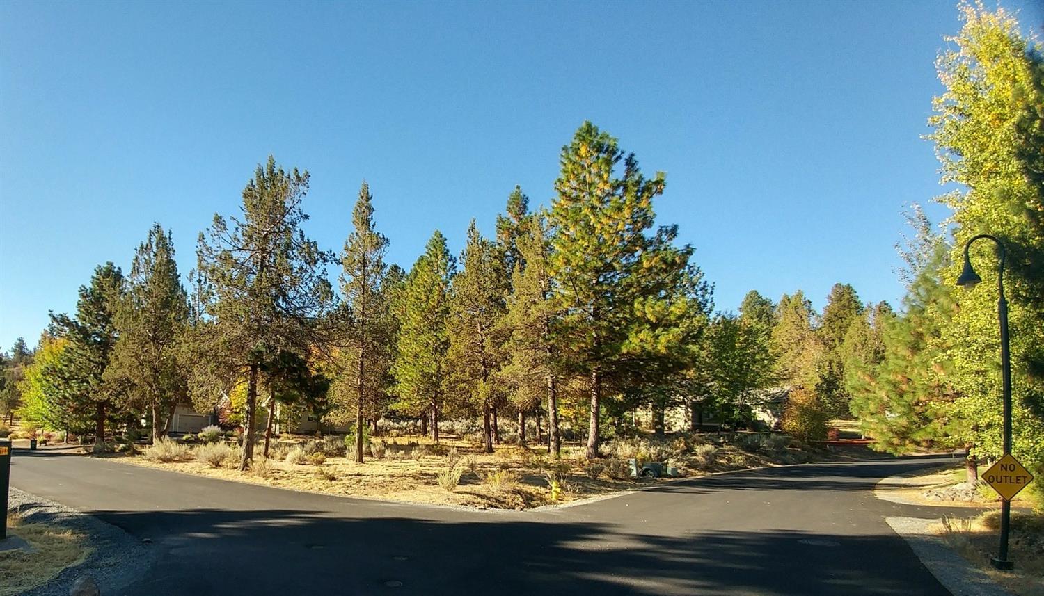 0 Kestrel Road Klamath Falls, OR 97601 - Photo 1 of 2 Primary Photo