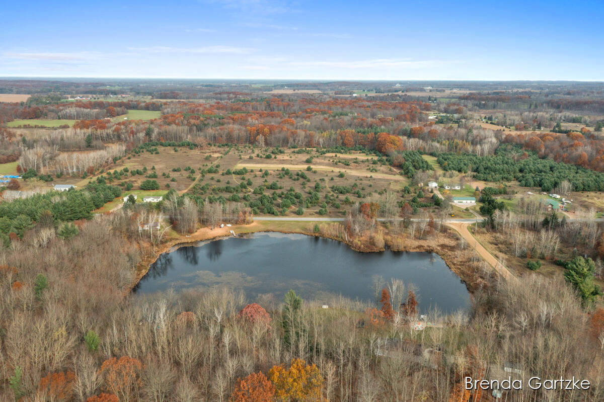11379 North Backus Road Lakeview, MI 48850 - Photo 46 of 48 IMG_1047