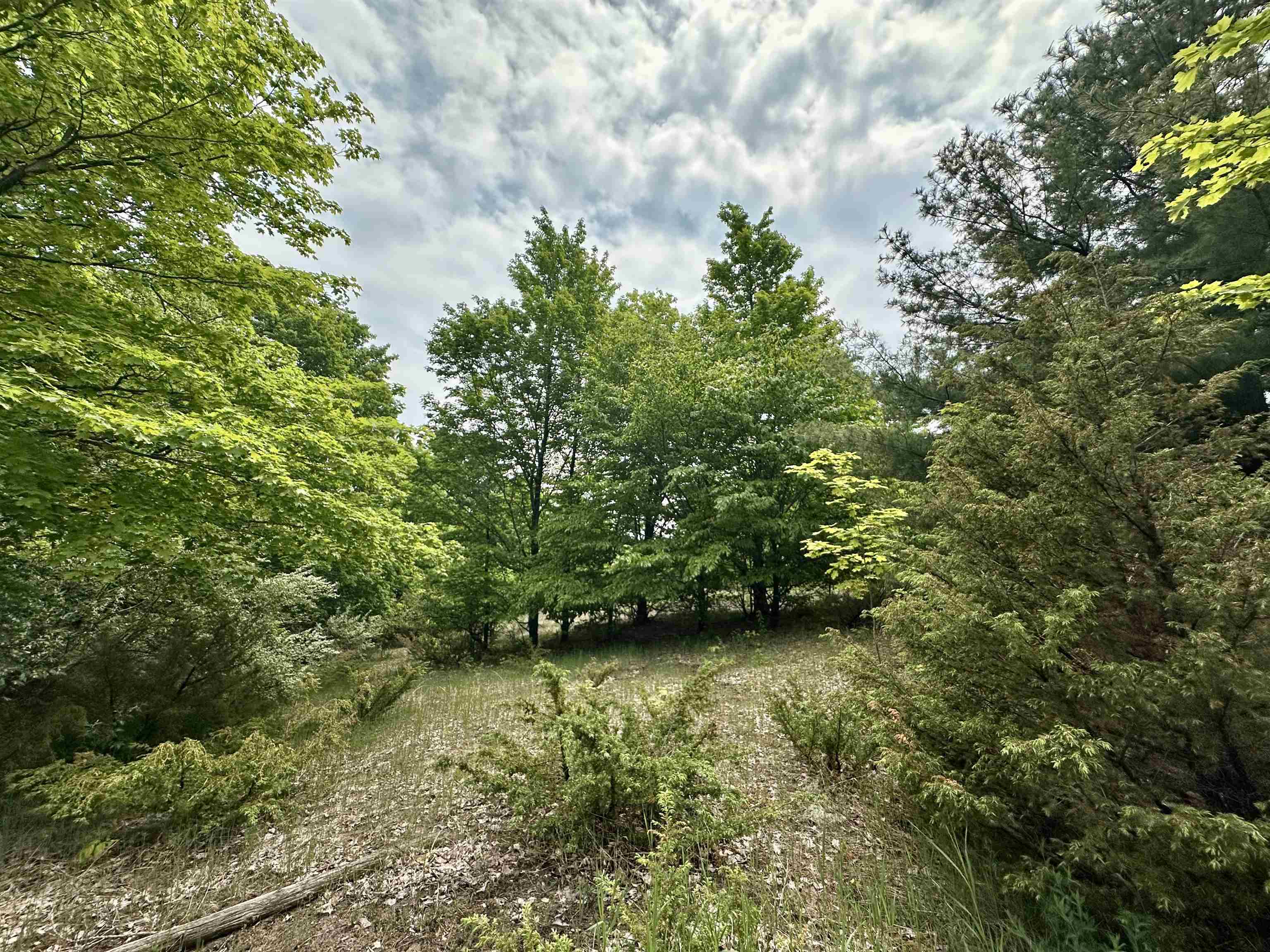 90-acres East Otto Road Suttons Bay, MI 49682 - Photo 3 of 68 Gallery Image 3