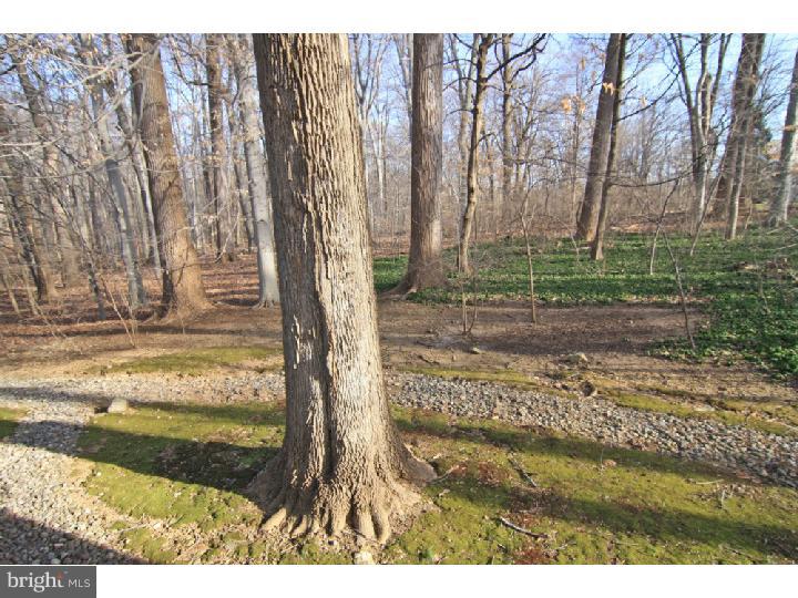 875 Llewelyn Road Berwyn, PA 19312 - Photo 22 of 23 Gallery Image 22