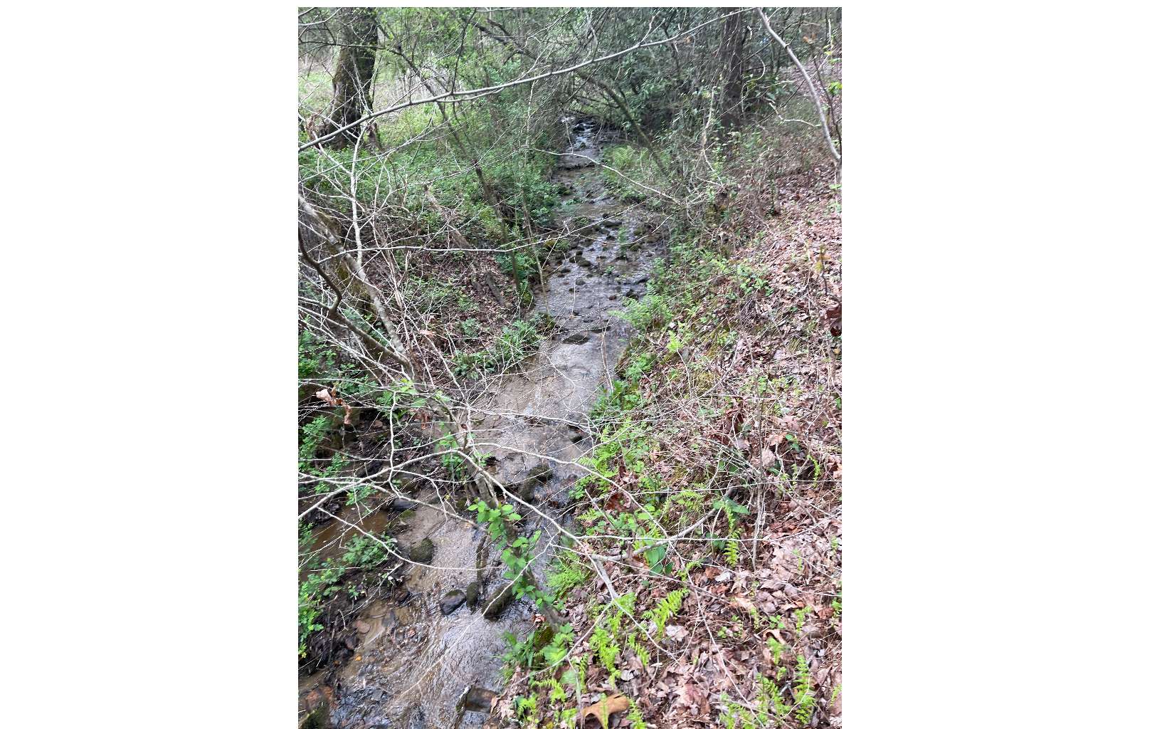 221 Greasy Creek Road Murphy, NC 28906 - Photo 11 of 13 Additional View