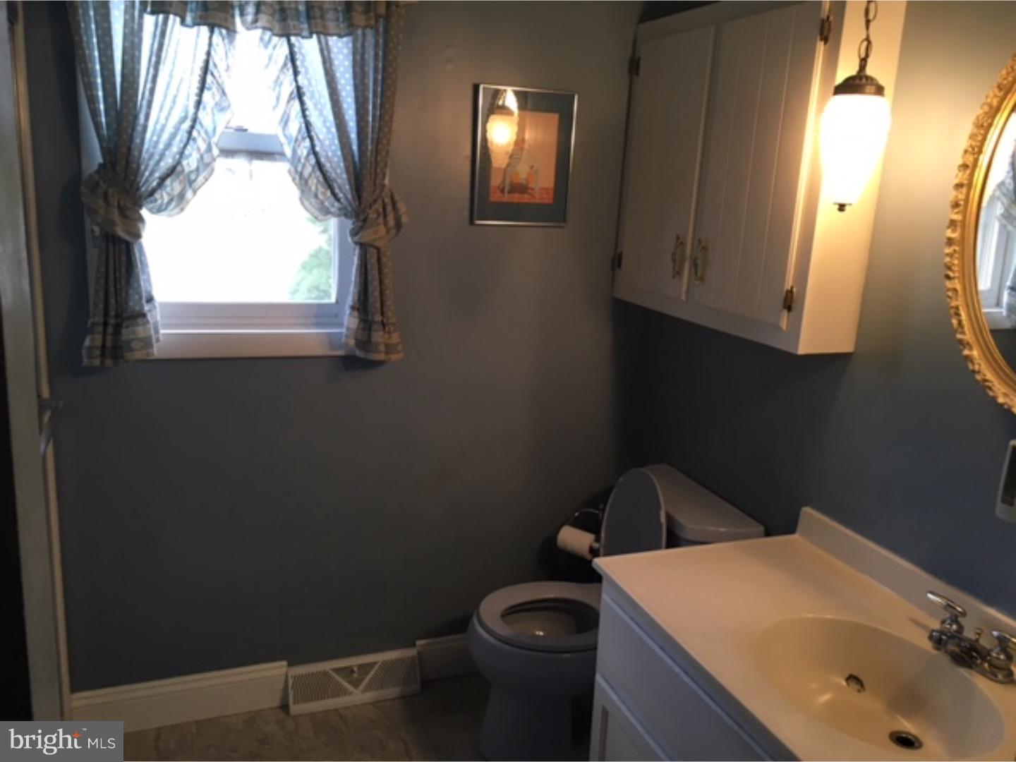 3311 Reedy Road Sinking Spring, PA 19608 - Photo 10 of 13 Bathroom