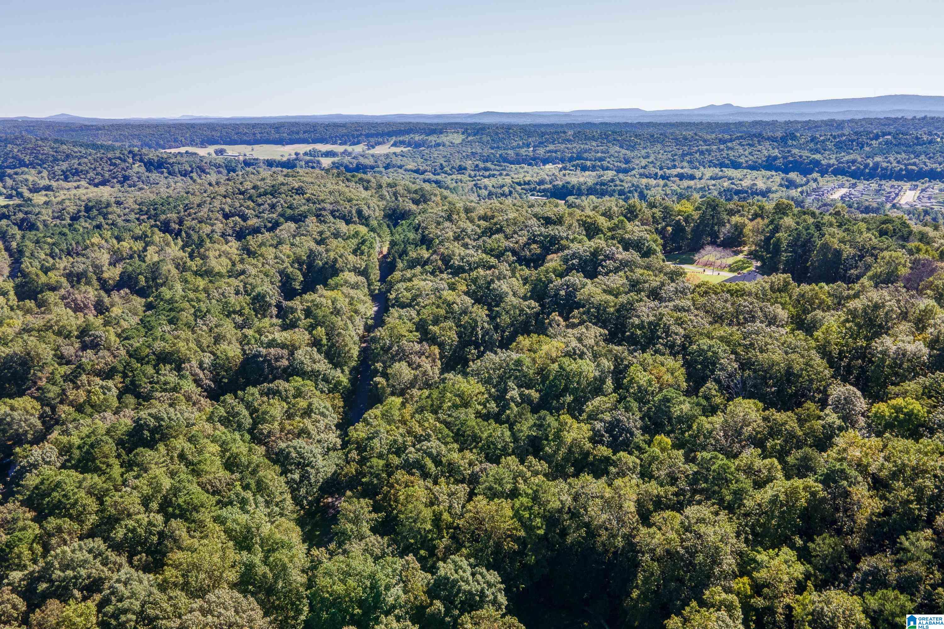 7613 Cottonridge Road, Unit 19 Trussville, AL 35173 - Photo 8 of 10