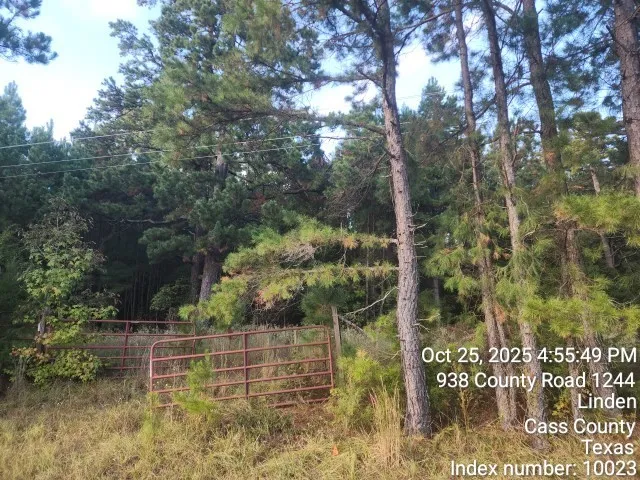 $125,000 | 938 County Road 1244, Linden, TX 75563