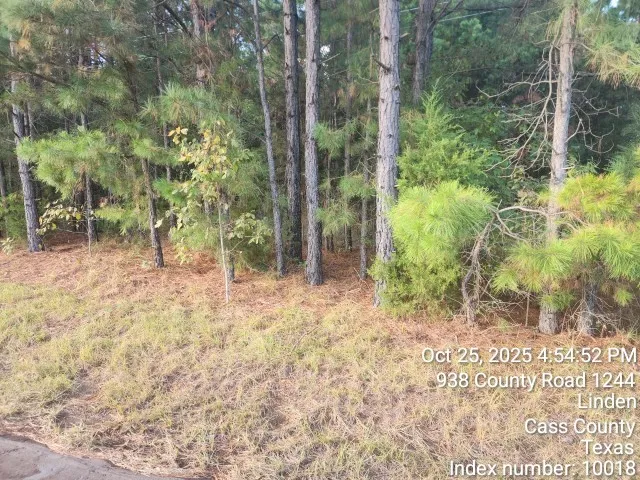 $125,000 | 938 County Road 1244, Linden, TX 75563