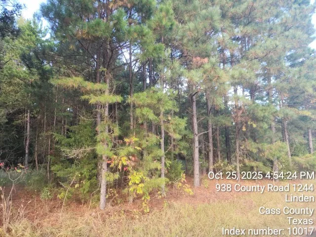$125,000 | 938 County Road 1244, Linden, TX 75563