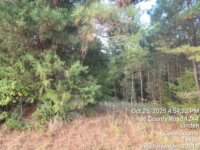 $125,000 | 938 County Road 1244, Linden, TX 75563