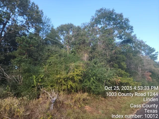 $125,000 | 938 County Road 1244, Linden, TX 75563
