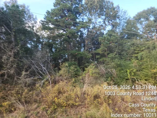 $125,000 | 938 County Road 1244, Linden, TX 75563