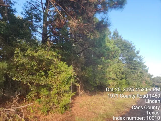 $125,000 | 938 County Road 1244, Linden, TX 75563