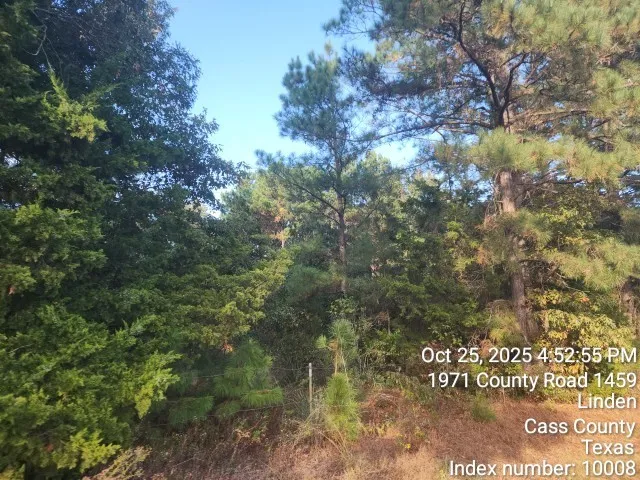 $125,000 | 938 County Road 1244, Linden, TX 75563