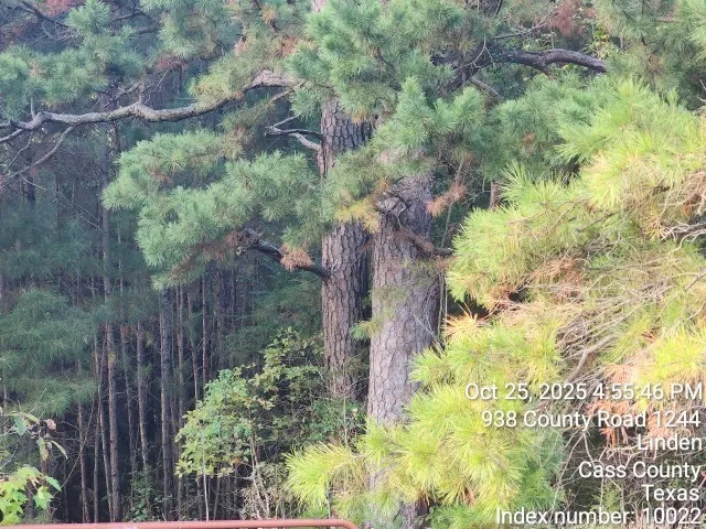 $125,000 | 938 County Road 1244, Linden, TX 75563