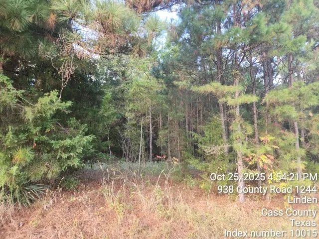 $125,000 | 938 County Road 1244, Linden, TX 75563