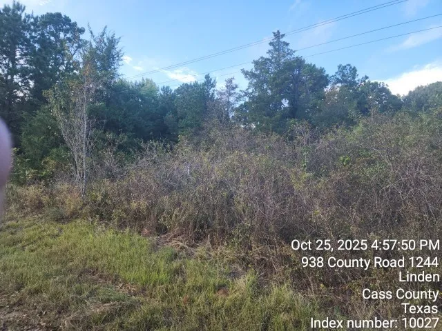 $125,000 | 938 County Road 1244, Linden, TX 75563