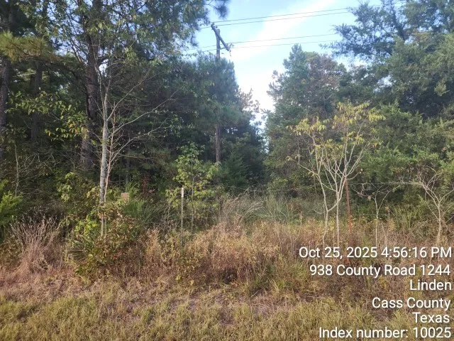 $125,000 | 938 County Road 1244, Linden, TX 75563