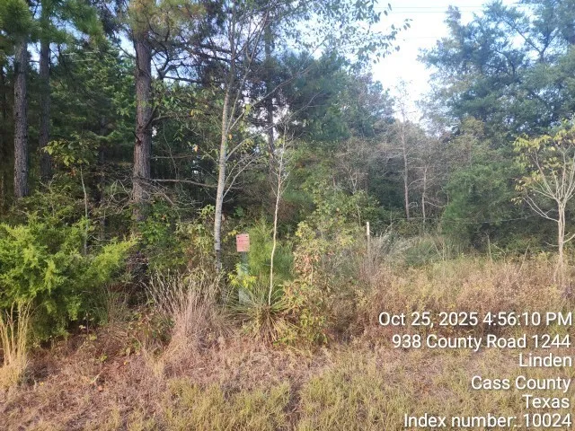 $125,000 | 938 County Road 1244, Linden, TX 75563