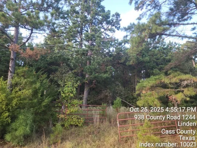 $125,000 | 938 County Road 1244, Linden, TX 75563