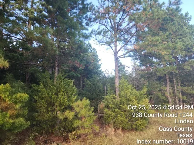 $125,000 | 938 County Road 1244, Linden, TX 75563
