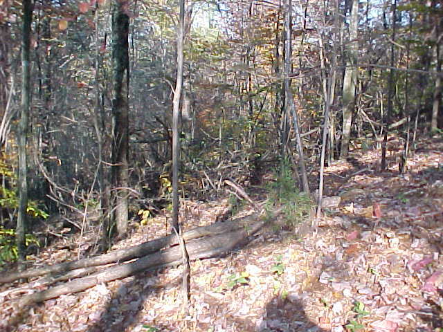 6713 Sandswitch Road Chattanooga, TN 37343 - Photo 3 of 5 Additional Photo