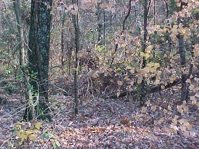 6713 Sandswitch Road Chattanooga, TN 37343 - Photo 4 of 5 Additional Photo