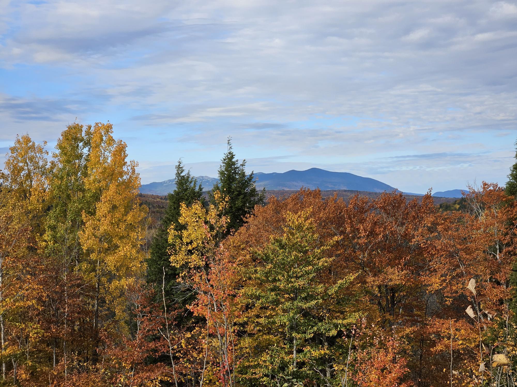 7 Rangeley Road Avon, ME 04966 - Photo 5 of 29 View