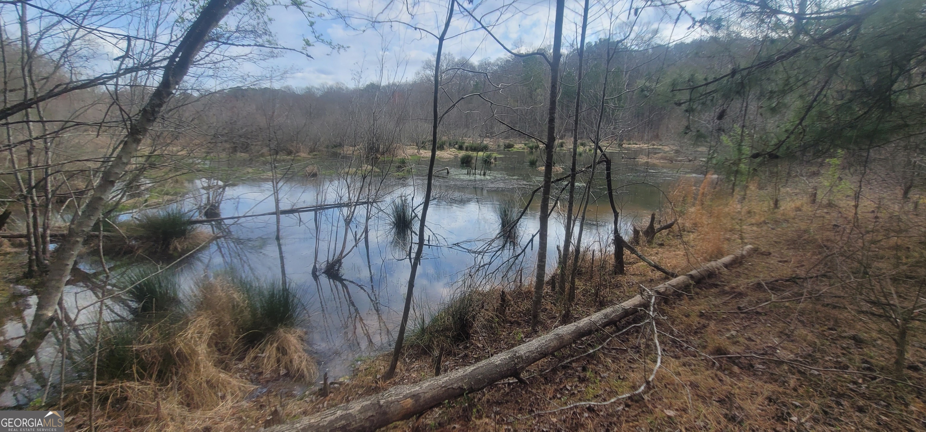 306 Patterson Road Griffin, GA 30223 - Photo 2 of 9
