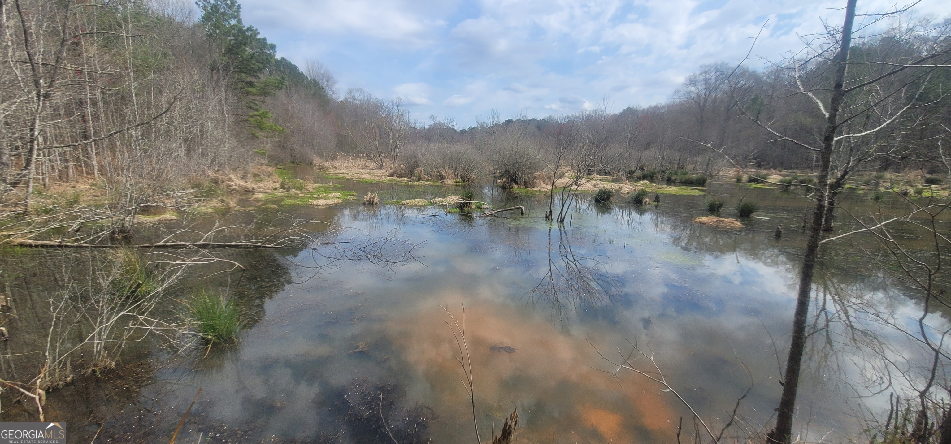 306 Patterson Road Griffin, GA 30223 - Photo 3 of 9