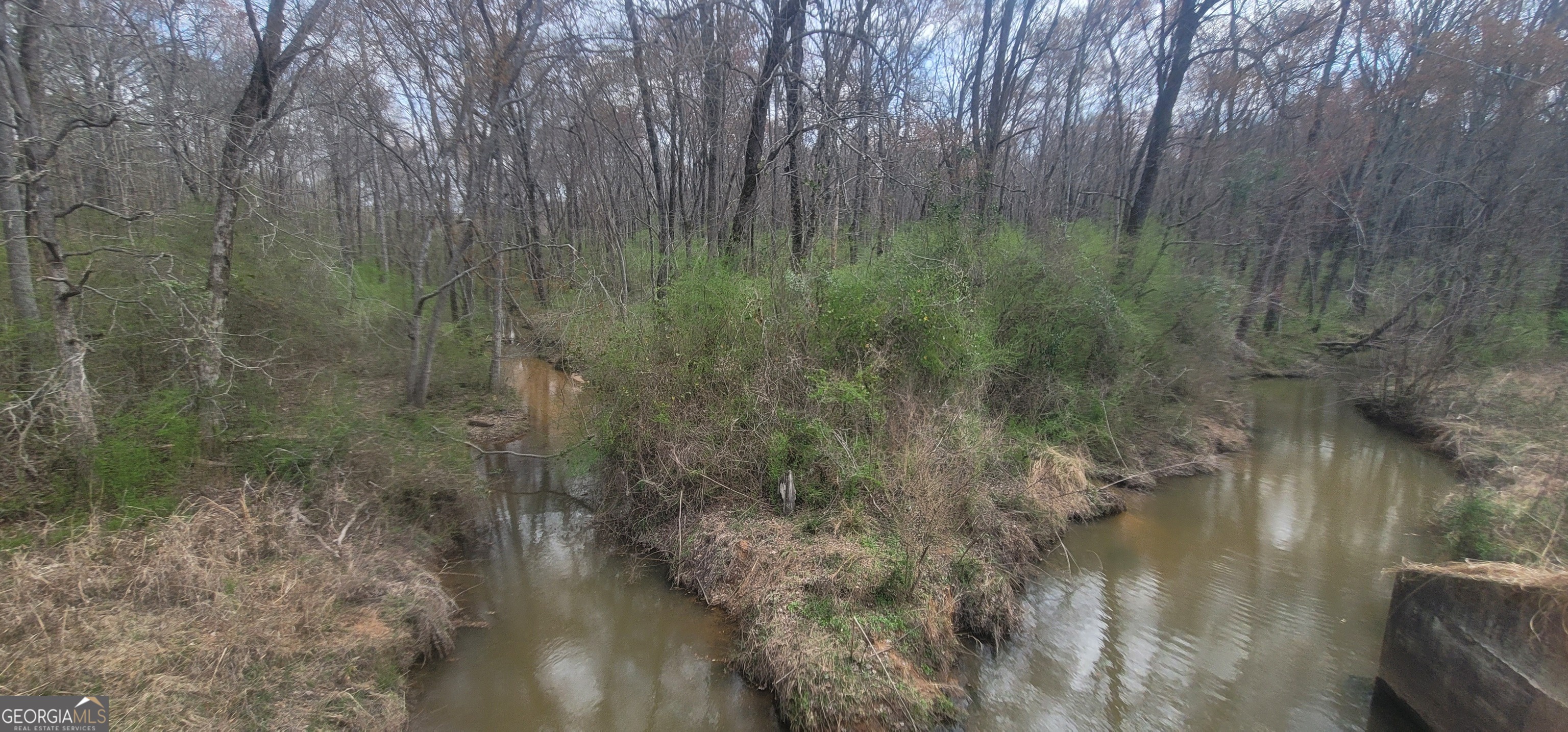 306 Patterson Road Griffin, GA 30223 - Photo 4 of 9