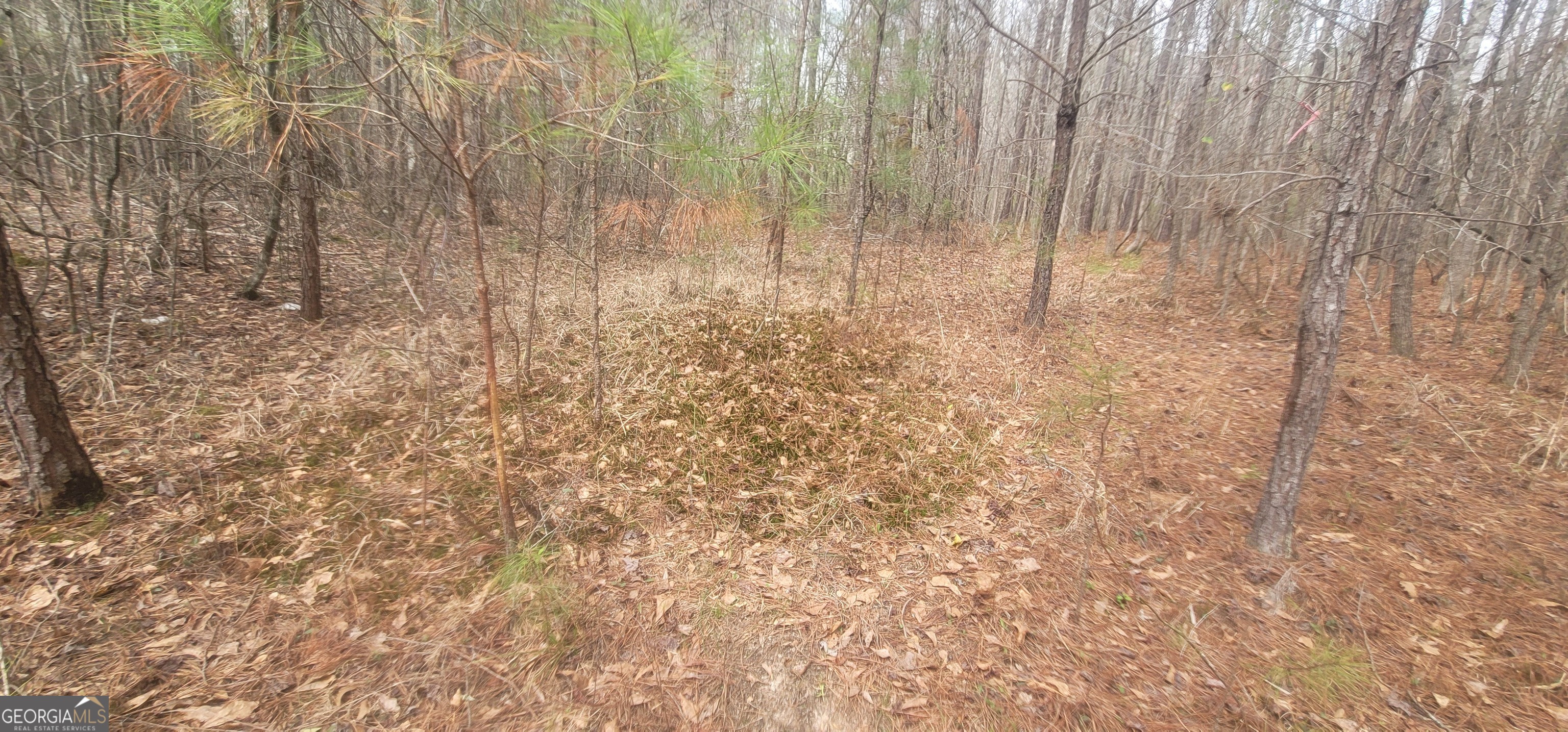 306 Patterson Road Griffin, GA 30223 - Photo 5 of 9
