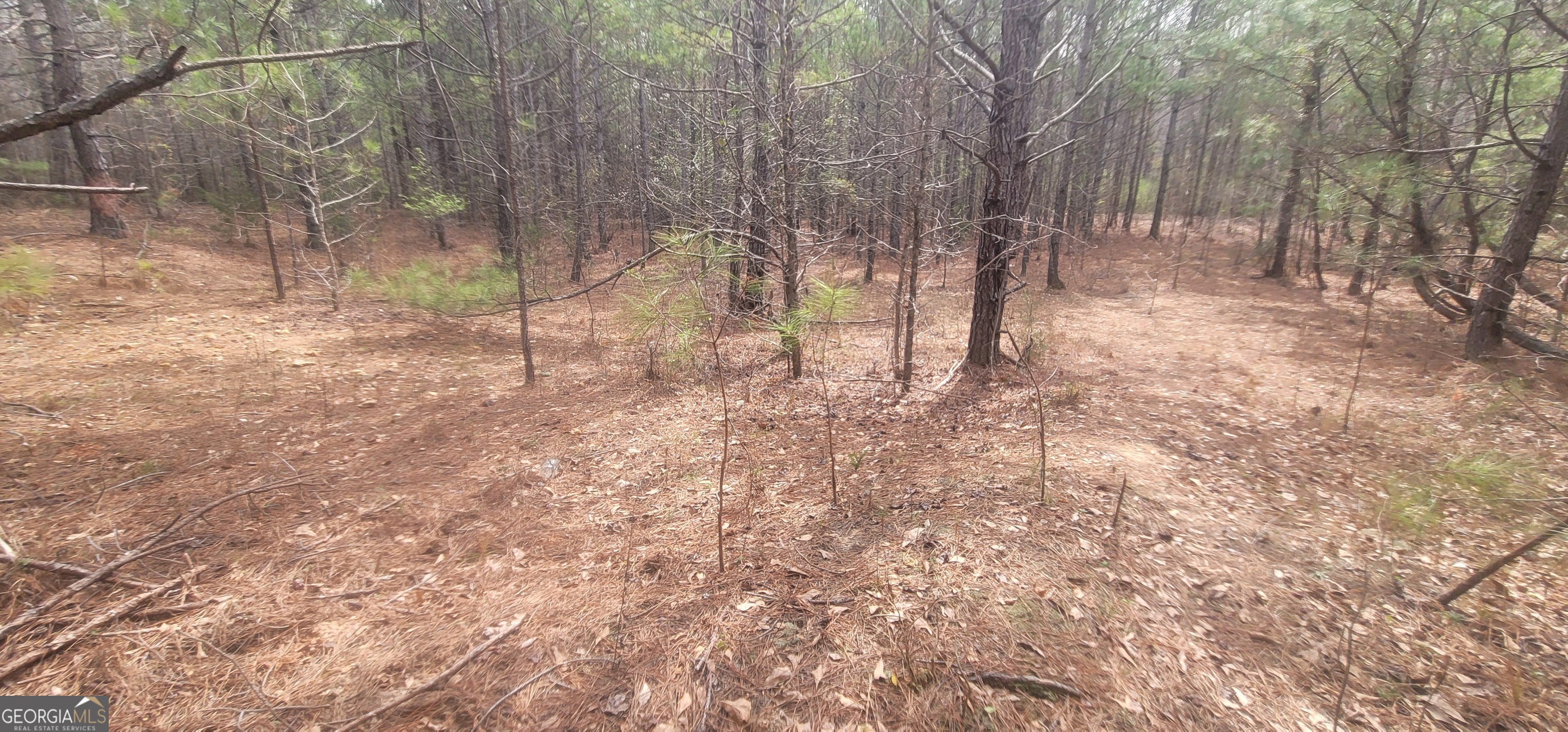 306 Patterson Road Griffin, GA 30223 - Photo 6 of 9