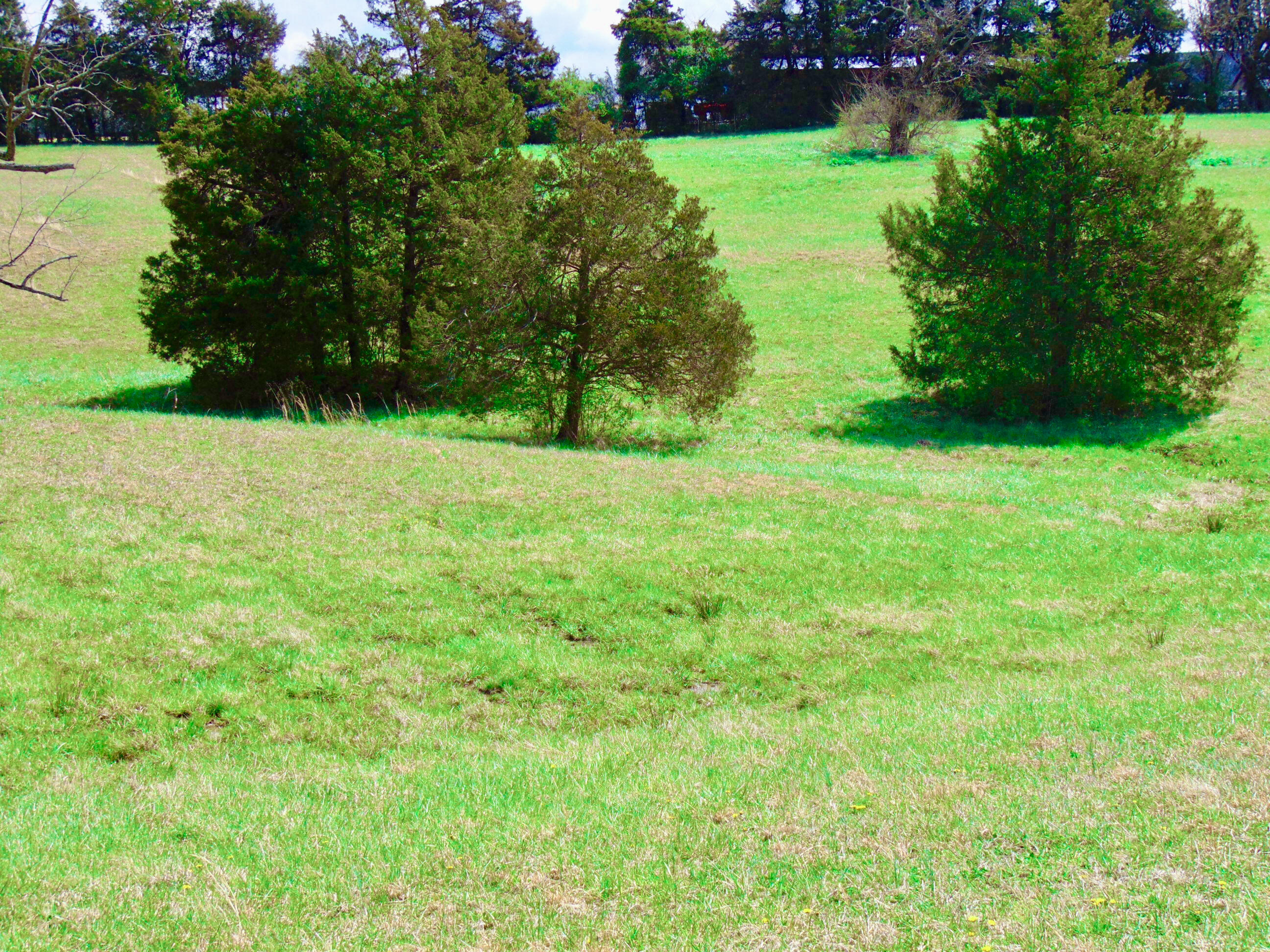 587 Concord Road Richmond, KY 40475 - Photo 24 of 36 0D4B4276-FEE4-405A-AA0E-D0DAFC30786D_1_2