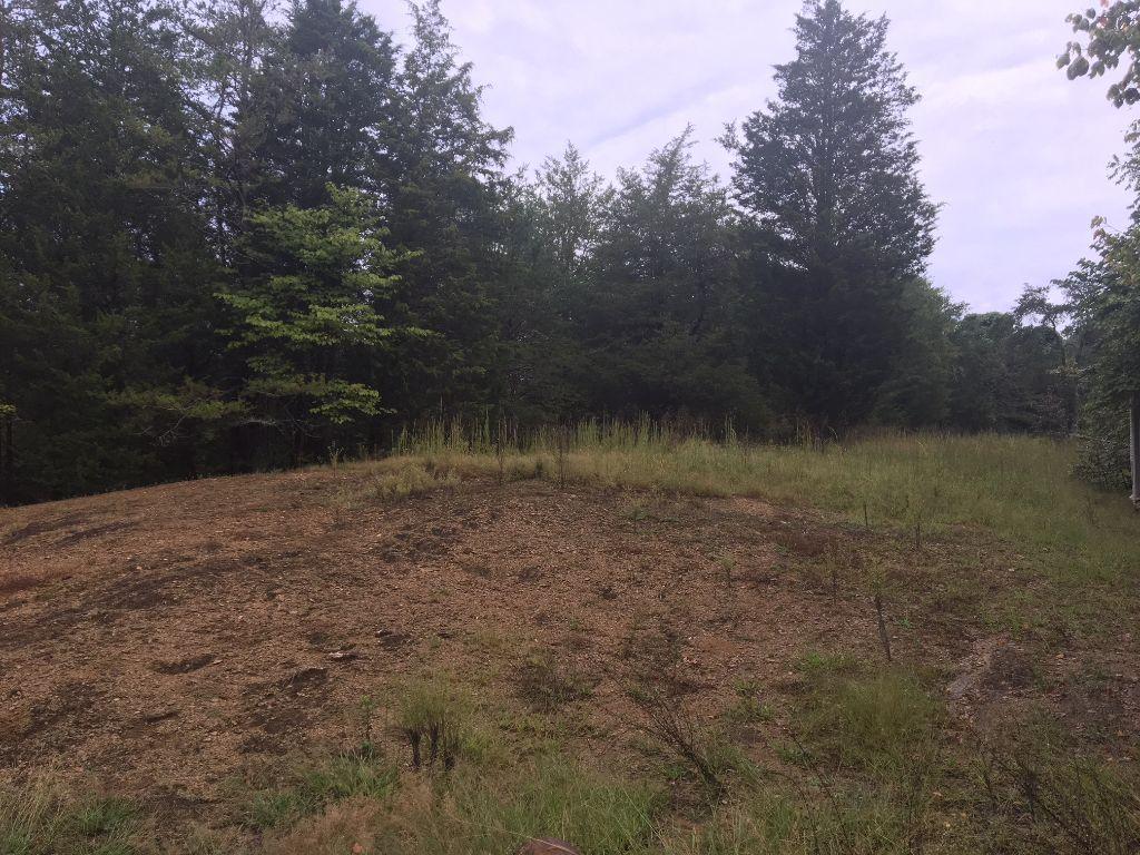 Flatwood Road Sevierville, TN 37862 - Photo 2 of 2 IMG_4733 - Copy