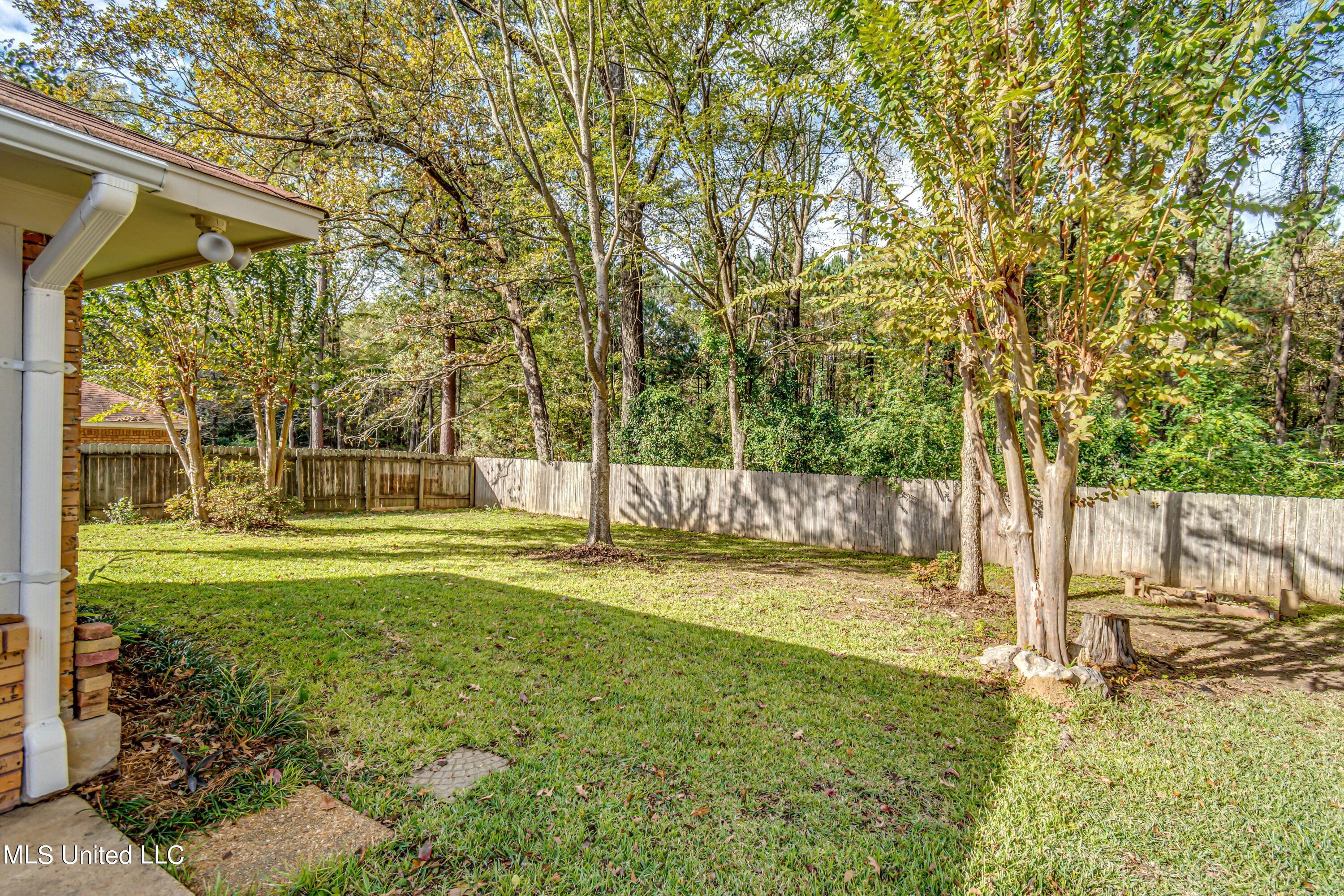 161 Summit Ridge Drive Brandon, MS 39042 - Photo 23 of 24 Back Yard 1